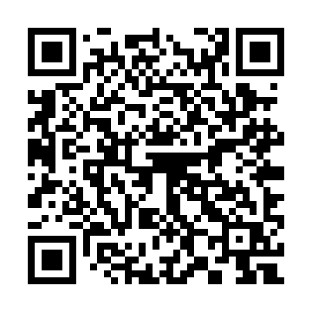 QR code for 385PIR