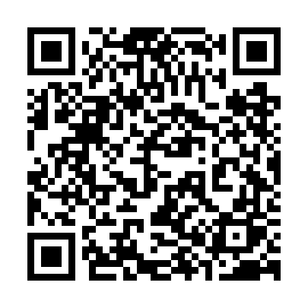 QR code for 386GFP