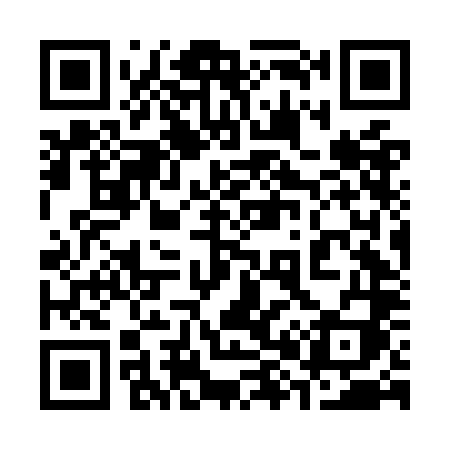 QR code for 386OLI