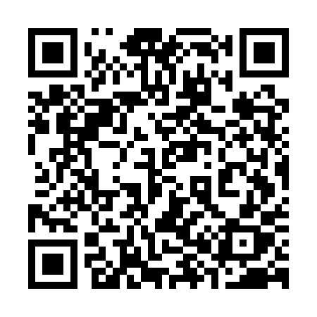 QR code for 387APX