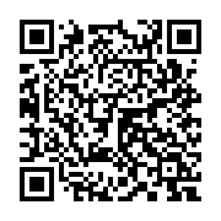 QR code for 387AVL