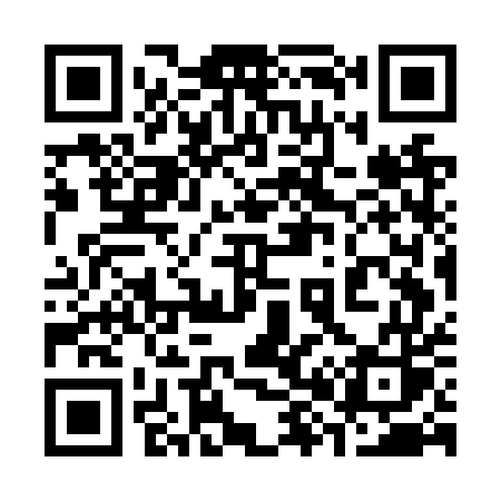 QR code for 387NUS