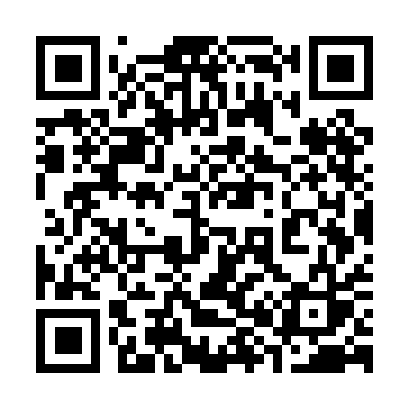 QR code for 387PAS