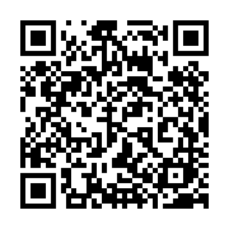 QR code for 387PNM