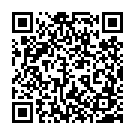 QR code for 387TVR