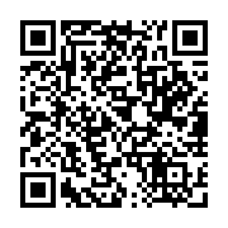QR code for 387WCS