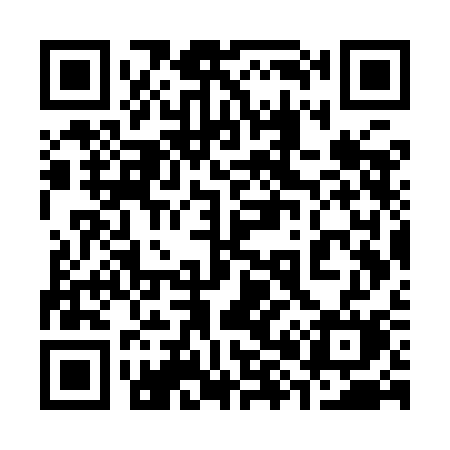 QR code for 387YCM