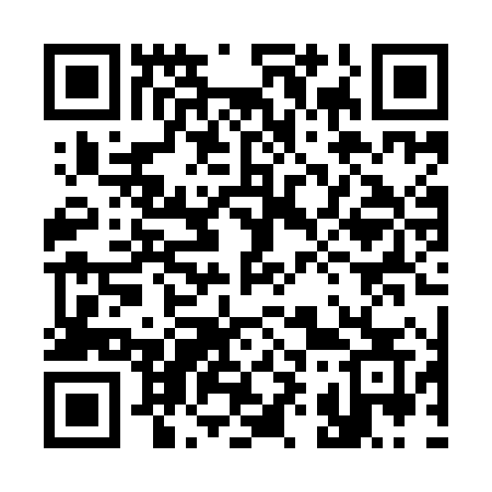 QR code for 390YHS