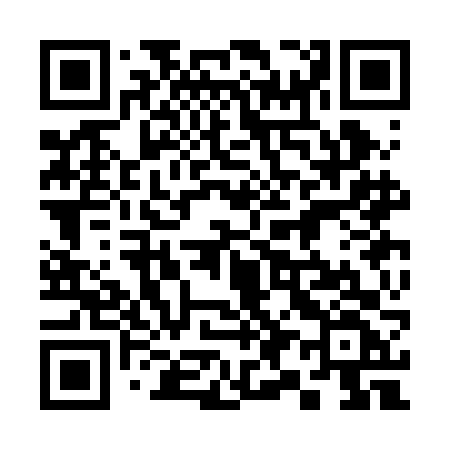 QR code for 393BFF
