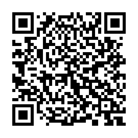 QR code for 393EUC