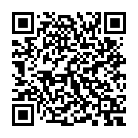 QR code for 393FST