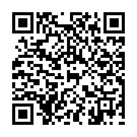 QR code for 393ICW
