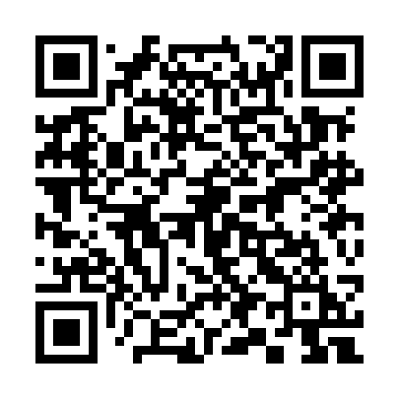 QR code for 393MCI