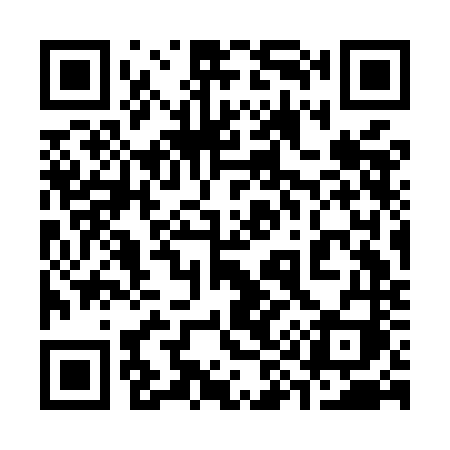 QR code for 393MNI