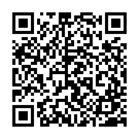 QR code for 393MTT