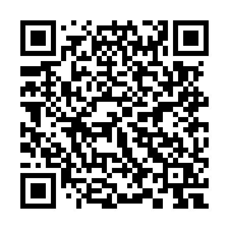 QR code for 393MXQ