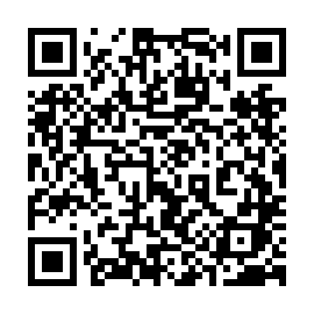 QR code for 393NLH
