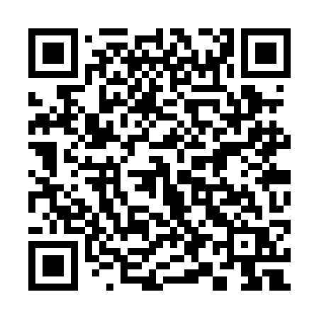 QR code for 393PKR