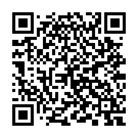 QR code for 393PQY
