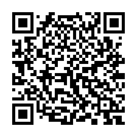 QR code for 393QWB