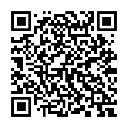 QR code for 393RAF