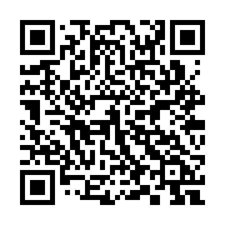 QR code for 393SRF