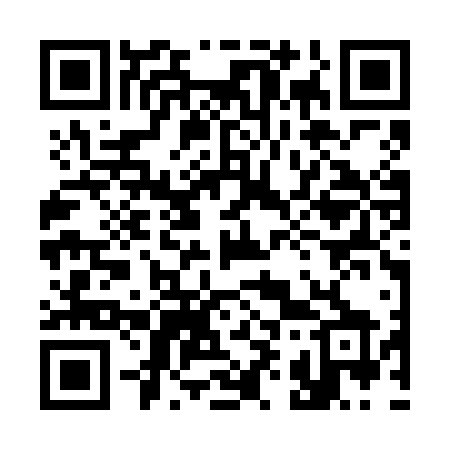 QR code for 393VFX