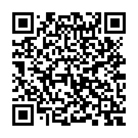 QR code for 393ZYH