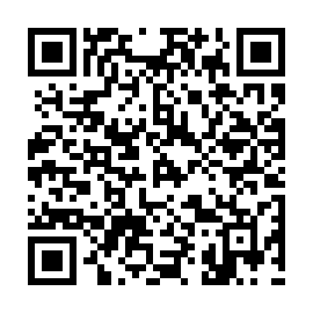 QR code for 394ASM