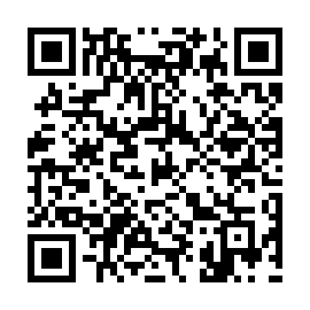 QR code for 394SDG