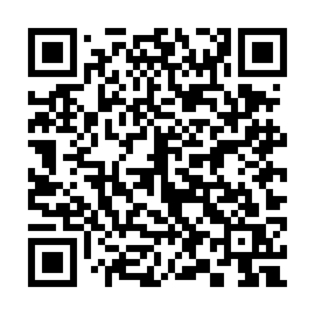 QR code for 395DKS