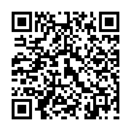 QR code for 395IHS