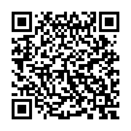 QR code for 397BIW