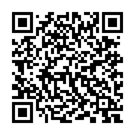 QR code for 397DIB