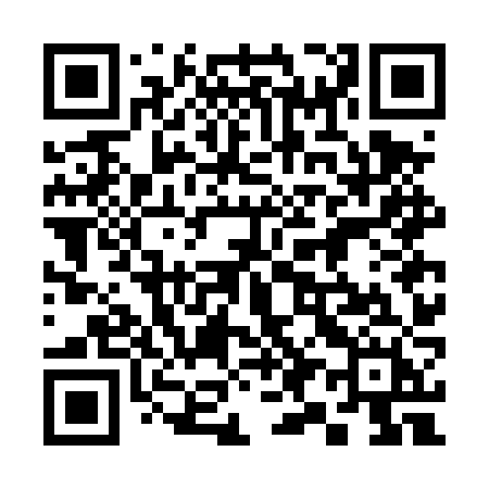 QR code for 397DZH