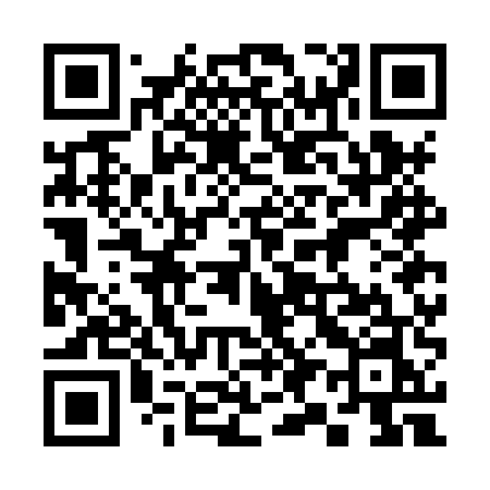 QR code for 397HUN