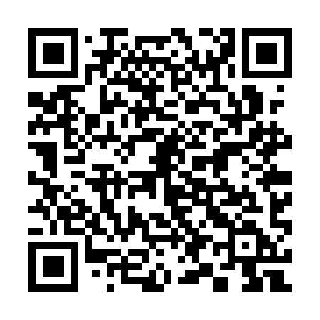 QR code for 397QID