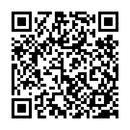 QR code for 398DAO