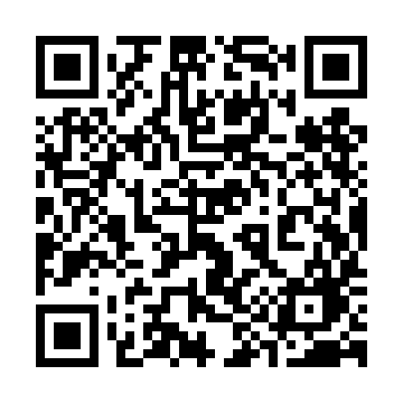 QR code for 399TIG