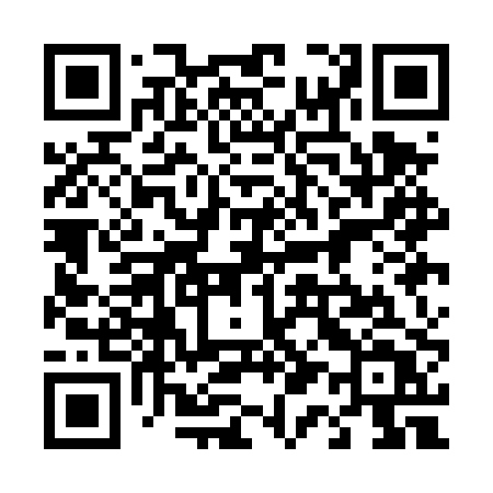 QR code for 411DPT