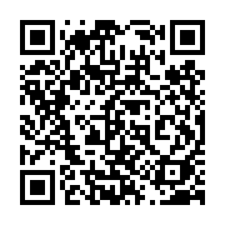 QR code for 411DQI