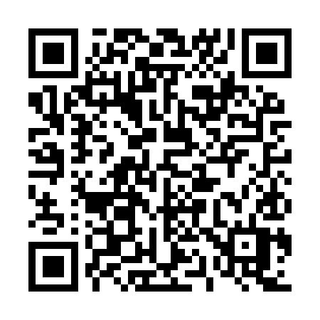 QR code for 411IYT