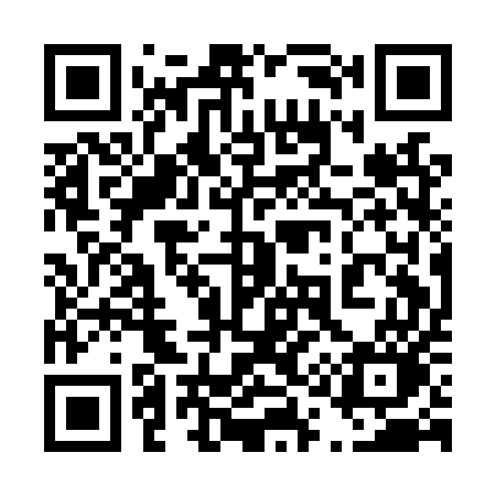 QR code for 411LUO