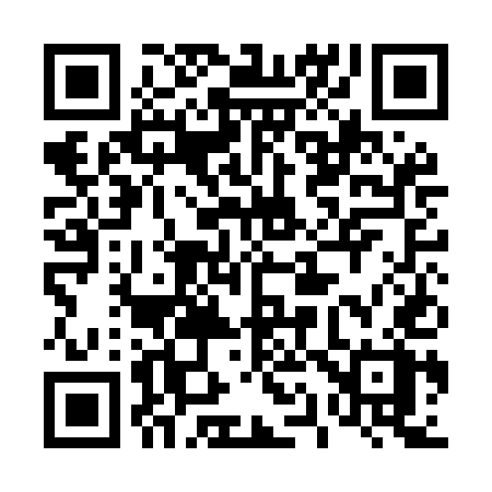 QR code for 411MEX