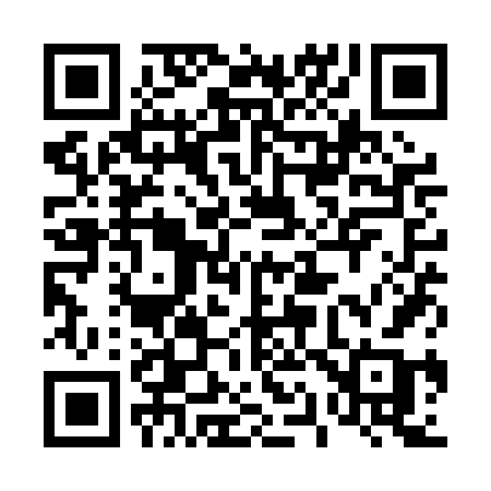 QR code for 411PFB