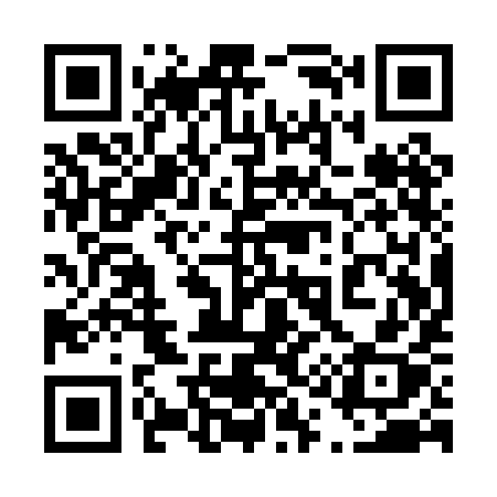 QR code for 411PIX