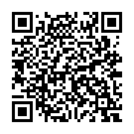 QR code for 411SIM
