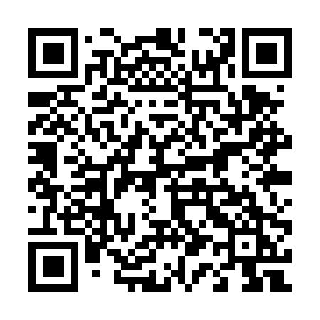 QR code for 411TPK