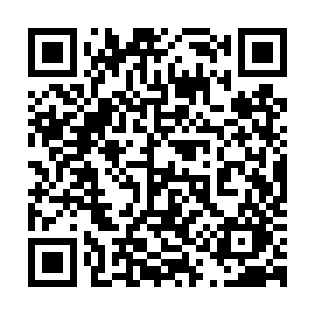 QR code for 411TZO