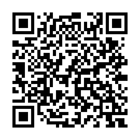 QR code for 411VPM